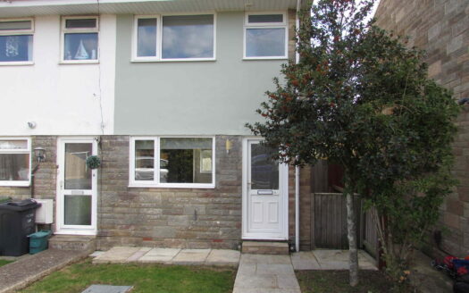 Semi Detatached house to rent in Newport